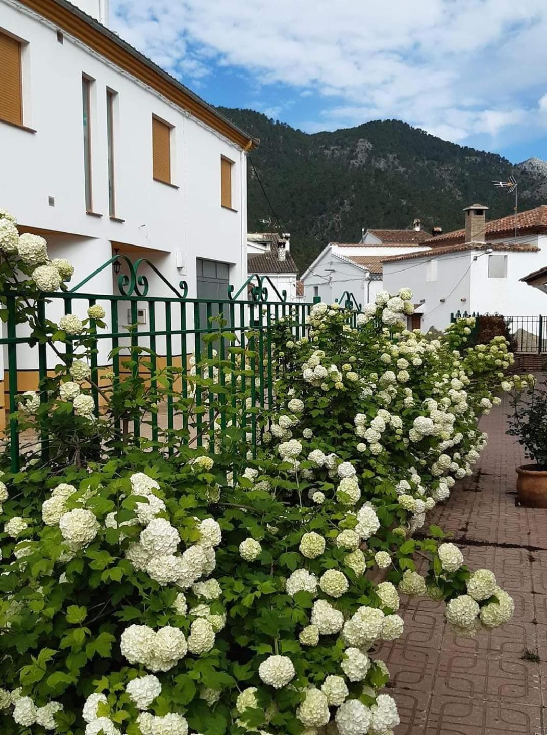Albergue Ruta Rio Borosa 꼬또 리오스 외부 사진